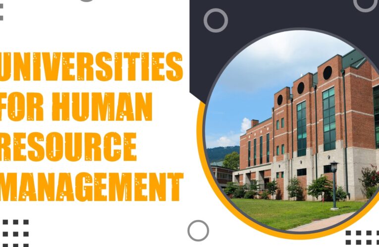 Top 7 Universities for Human Resource Management Students in the UK